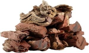 تصدير الحطب الأفريقي من شركة الوادي للحطب الأفريقي أكبر شركة تملك ترخيص التحطيب في الغاباتة المرخصة للتحطيب نوفر جميع أنواع الحطب الأفريقي